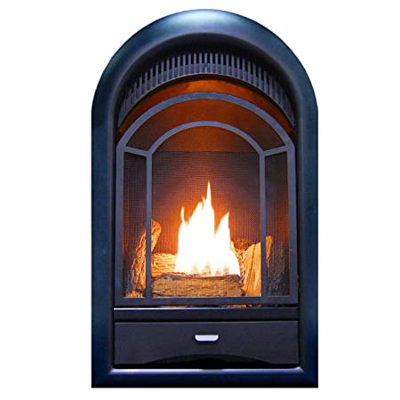 Procom pcs150t vent less fireplace insert thermostat control arched door