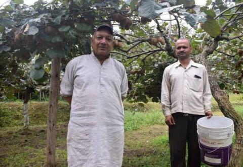 narendraplant