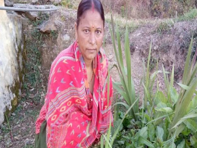 sita devi kiwi queen
