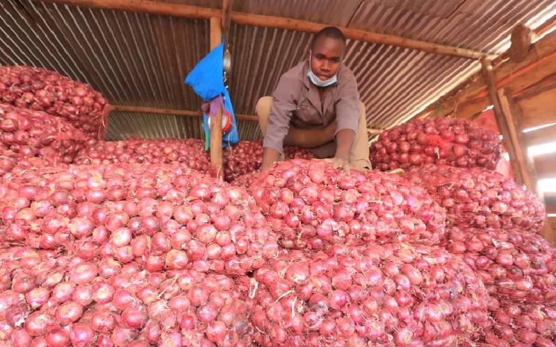 Onion farming a fad5faf957cd5c18