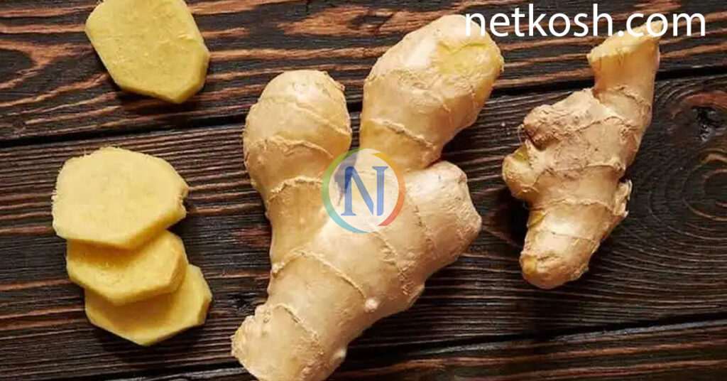 home clean ginger